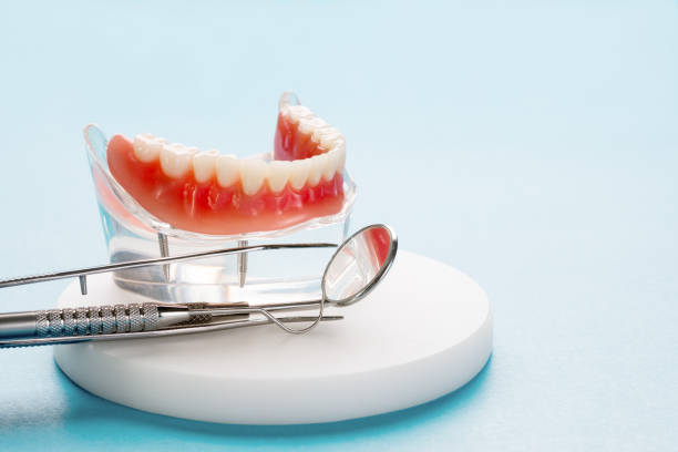 Best Preventive Dentistry  in Clay City, IN